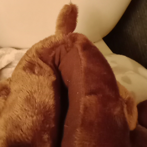 Cute dog slippers 🐕 - Picture 4 of 16